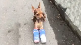 She Was Abandoned After a Brutal Accident and Fought Through Months of Pain to Survive