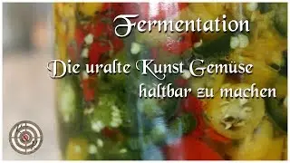 Chilis Fermentieren