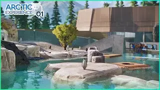 A new Zoo: ARCTIC EXPERIENCE - King Penguin Center - Franchise 01