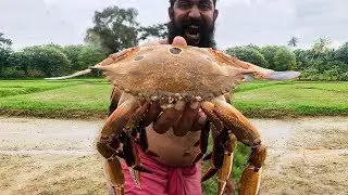 Primitive Technology - Cooking Big Crab Curry and grilled Maniok Eating delicious near river