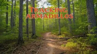 Armadillo hunt.