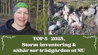 ✨ Årets sista video 2025 ✨