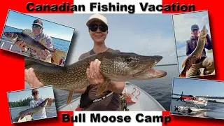Ловля судака и щуки в Онтарио, Канада, в лагере Bull Moose Camp