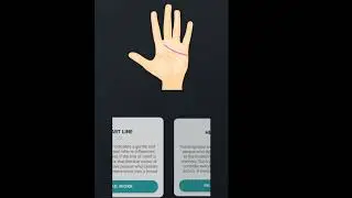palm scan
