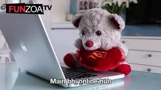 #funzoa tv teddy bear cute and funny