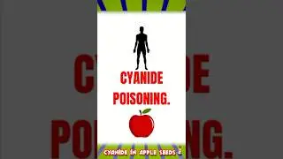 how dangerous is an apple? 🍎Cyanide in fruit seeds☠️☠️#apple #fruit #appleseeds #poison #cyanide