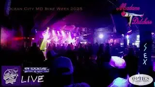 LIVE! at The Purple Moose Saloon with Surreal