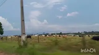 Indo para o sítio 