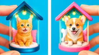 On a Construit une Tiny House pour Animaux ! Comment Prendre Soin de vos Animaux !