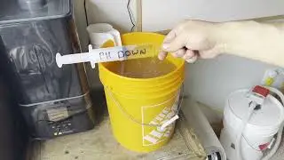 Auto-Flowers | CBD | Organic Feeding | Beginners Grow | Mixing a batch of water for plants