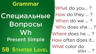 5B_Специальные Вопросы - Wh Questions Present Simple