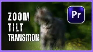 How to Create a Zoom Tilt Transition in Premiere Pro