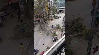 Tree branch #falling accident 😰