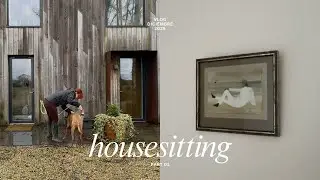 cuidando mascotas por navidad | mis días en una casa de en sueño