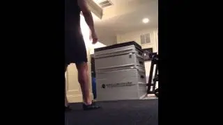 DeFrancosGym.com: Triple H 45