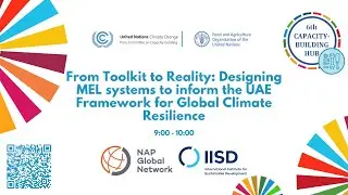 Toolkit to Reality: Designing MEL systems to inform the UAE Framework for Global Climate Resilience