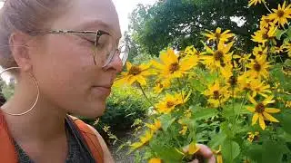 Holden Arboretum Hiking Botanical gardens, Canopy Walk & Emergent Tower go Pro footage