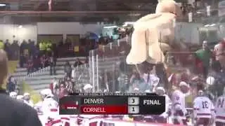 Cornell Teddy Bear Toss Fail