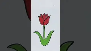 Easy Tulip Flower Drawing With Red Color 🌷 #trending #art #drawing #flowerdrawing #shortvideo