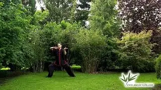 Tai Chi short form (Mini Compact)
