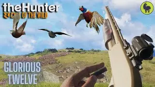Glorious Twelve, Torr nan Sithean | theHunter: Call of the Wild