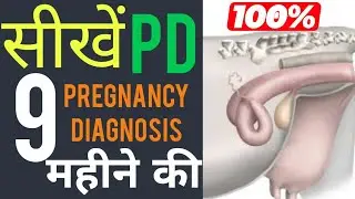 9 महीने PD kaise karen 💯 9 Months Pregnancy diagnosis ll How to check 9 month PD in Cow /Buffalo #pd