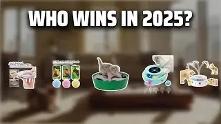 The Top 5 Best Interactive Cat Toys in 2025 - Must Watch Before Buying!