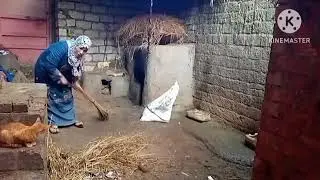 عملنا روتيني وتنظيف عند الطيور في الريف الجميل