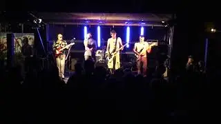 DOC IN THE FOG - 