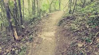 Iron Bluff MTB Trail Jonesville NC 10 23 2025