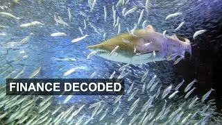 Takeovers explained | Finance Decoded