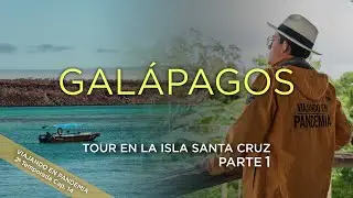 LAS MARAVILLAS DE LA ISLA SANTA CRUZ - Galápagos Parte 1 | Viajando en Pandemia🌍 T2 Cap. 14