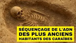 Un ADN ancien d&eacute;voile que les premiers habitants des Cara&iuml;bes n&rsquo;&eacute;taient pas ceux imagin&eacute;s