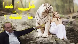 لماذا ذُكرت النساء مع الأنعام في آية واحدة؟ د. محمد شحرور