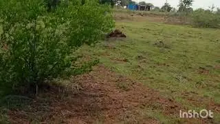 N p Properties  4 acre pure red soil  25 lakhs per acre  6360446978 general property
