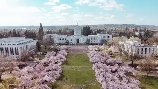 Things to do in Salem Oregon #salemoregon #oregon #travel