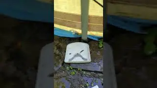 Refused to warranty