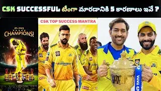 Why CSK Is Most Successful Team In IPL History | How CSK Became More Successful In IPL | Dhoni | CSK