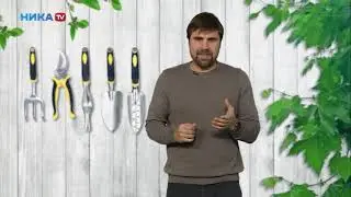 Выбираем ландшафтного дизайнера к себе на участок