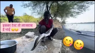 10kg snakehead fish making tribes recipe 