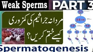 Spermatogenesis & Hormonal Control Explained | Sperm Production, Shape & Testes Biopsy by Dr.  Imran