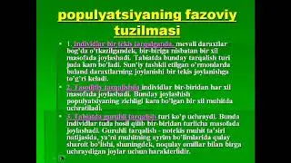 Популяция ҳақида таълимот