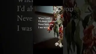 &ldquo;Flowers&rdquo; by David Soro /pt.1 #indieartist #singersongwriter #indiemusic #indiefolk #folksong #indie