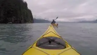 Kayaking Resurrection Bay