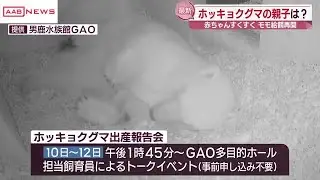 ホッキョクグマの赤ちゃん最新映像　秋田・男鹿水族館で１２月に誕生　母親モモは２カ月ぶりの食事 (2026/01/08 19:49)