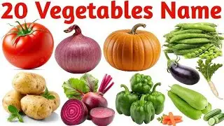 Vegetable Name | Different Vegetable Names | Kids Learn 20 Different English Vegetable Name with ...
