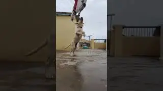 Sandy 🔥🔥 #viral #trending