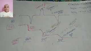 MSc Sem 3.9. Simultaneous  study TG & DTA Curve