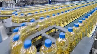 Automatic rotary 2 in 1 5L cooking edible food oil filling capping machine