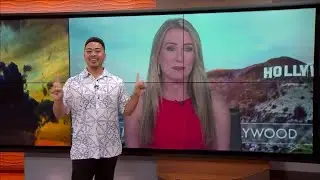 It's another edition of Fox Rewind with Ashley Dvorkin.